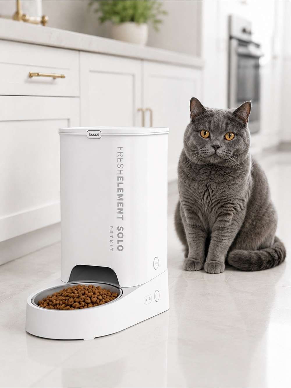 Automatic Pet Feeder - White
